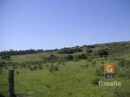 Campos y Fracciones en Piriápolis (Ruta 73 Piriápolis) Ref.169