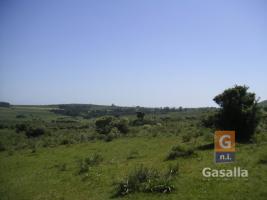 Campos y Fracciones en Piriápolis (Ruta 73 Piriápolis) Ref.169