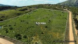 Campos y Fracciones en Piriápolis (Ruta 73 Piriápolis) Ref.169 LOS NIETOS