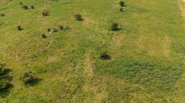 Campos y Fracciones en Piriápolis (Ruta 73 Piriápolis) Ref.169 LOS NIETOS