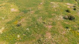 Campos y Fracciones en Piriápolis (Ruta 73 Piriápolis) Ref.169 LOS NIETOS