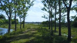 Campos y Fracciones en Punta del Este (Laguna del Sauce)