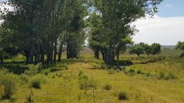 Campos y Fracciones en Punta del Este (Laguna del Sauce)