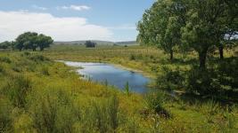 Campos y Fracciones en Punta del Este (Laguna del Sauce)
