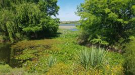 Campos y Fracciones en Punta del Este (Laguna del Sauce)