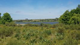 Campos y Fracciones en Punta del Este (Laguna del Sauce)