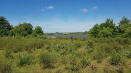 Campos y Fracciones en Punta del Este (Laguna del Sauce)