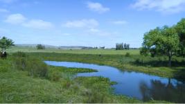 Campos y Fracciones en Punta del Este (Laguna del Sauce) Ref.4205