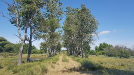 Campos y Fracciones en Punta del Este (Laguna del Sauce) Ref.4205