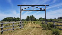 Campos y Fracciones en Punta del Este (Laguna del Sauce) Ref.4205