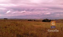 Campos y Fracciones en Punta del Este (Ruta Interbalnearia)