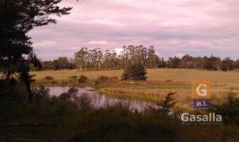 Campos y Fracciones en Punta del Este (Ruta Interbalnearia)