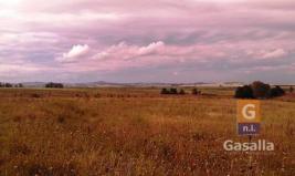 Campos y Fracciones en Punta del Este (Ruta Interbalnearia)