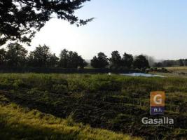 Campos y Fracciones en Punta del Este (Ruta Interbalnearia)