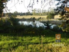 Campos y Fracciones en Punta del Este (Ruta Interbalnearia)