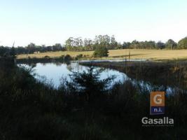 Campos y Fracciones en Punta del Este (Ruta Interbalnearia)