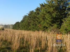 Campos y Fracciones en Punta del Este (Ruta Interbalnearia)