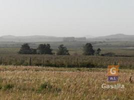 Campos y Fracciones en Punta del Este (Ruta Interbalnearia)