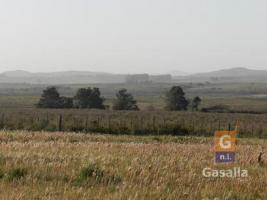 Campos y Fracciones en Punta del Este (Ruta Interbalnearia)