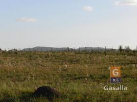 Campos y Fracciones en Punta del Este (Ruta Interbalnearia)