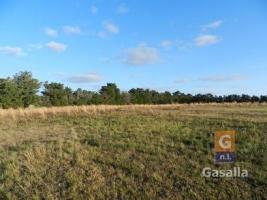 Campos y Fracciones en Punta del Este (Ruta Interbalnearia)