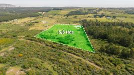 Campos y Fracciones (Ruta 73 Piriápolis) Ref.2415