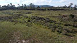 Campos y Fracciones  (Ruta 9 Cerros Azules) Ref. 5943