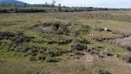Campos y Fracciones  (Ruta 9 Cerros Azules) Ref. 5943