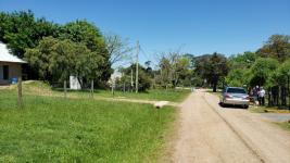 Casa en Piriápolis (Falda del Toro)