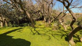 Casa en Piriápolis (Las Flores) Ref. 4866