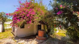 Casa en Piriápolis (Las Flores) Ref.7295