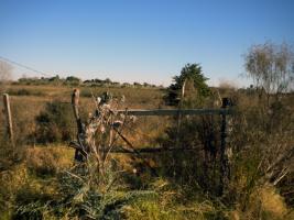 Chacra en Cerrillos al sur (Los Cerrillos)