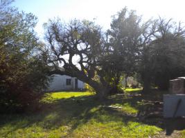 Chacra en Cerrillos al sur (Los Cerrillos)