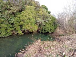 Chacras con Casa en Otras Rurales (Ruta 12)