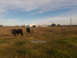 Chacras con Casa en Pando