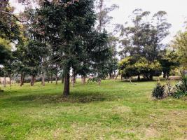 Chacras con Casa en Piriápolis (Ruta 73 Piriápolis)