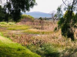 Chacras con Casa en Piriápolis (Ruta 73 Piriápolis)