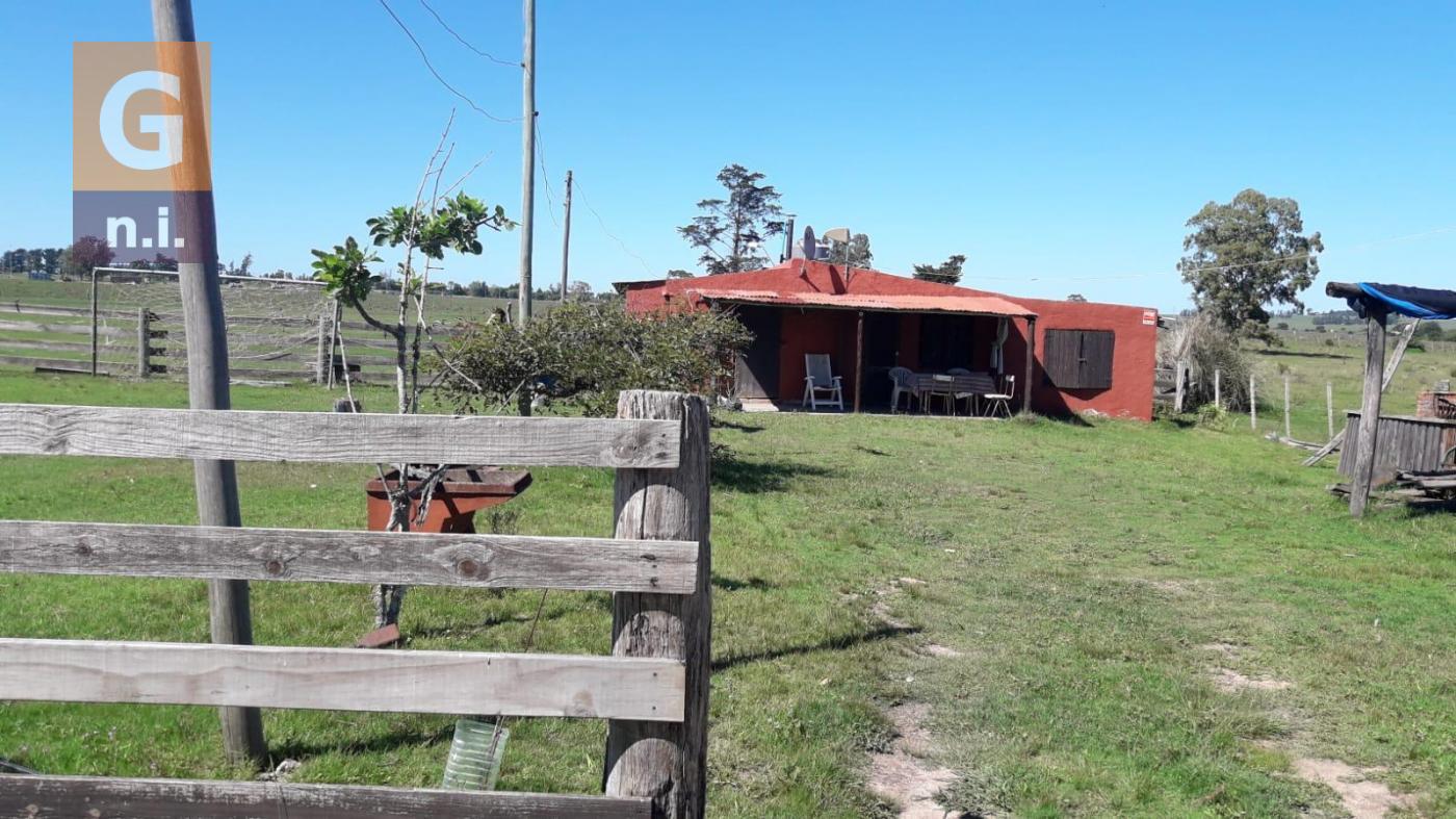 Chacras con Casa en Punta del Este (Jose Ignacio) - Ref. 4565