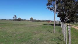 Chacras con Casa en Punta del Este (Jose Ignacio) - Ref. 4565