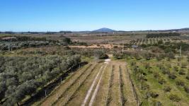 Chacras Con Casa VInedo y Olivos Ref. 1996