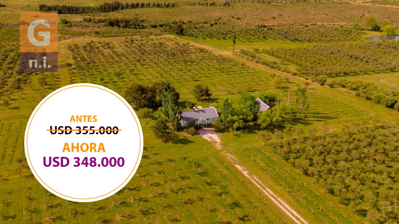 Chacras Con Casa Vinedo y Olivos Ref. 1996