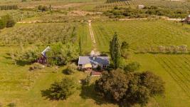 Chacras Con Casa Vinedo y Olivos Ref.7334