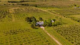 Chacras Con Casa Vinedo y Olivos Ref.7334