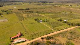 Chacras Con Casa Vinedo y Olivos Ref.7334