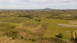 Chacras Con Casa Vinedo y Olivos Ref.7334