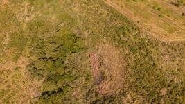 Chacras Con Casa Vinedo y Olivos Ref.7334