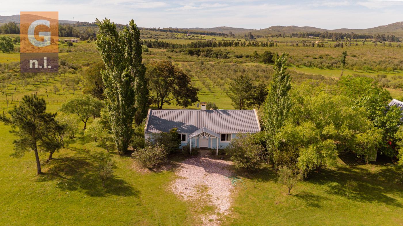 Chacras Con Casa Vinedo y Olivos Ref.7334