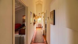 Chacras Con Casa Vinedo y Olivos Ref.7334