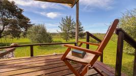 Chacras Con Casa Vinedo y Olivos Ref.7334