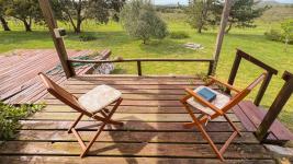 Chacras Con Casa Vinedo y Olivos Ref.7334